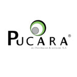 Pucará