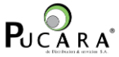 Pucará